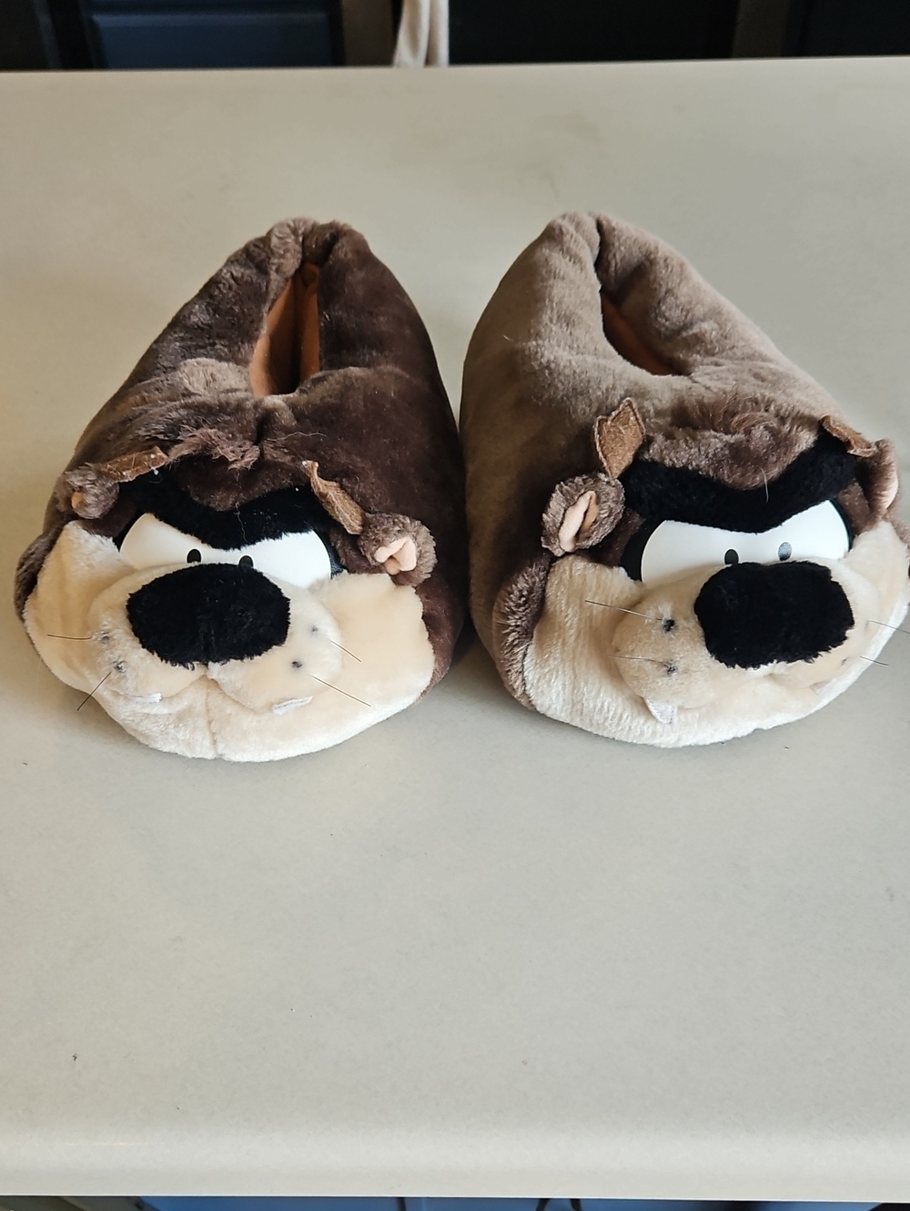 Taz Slippers